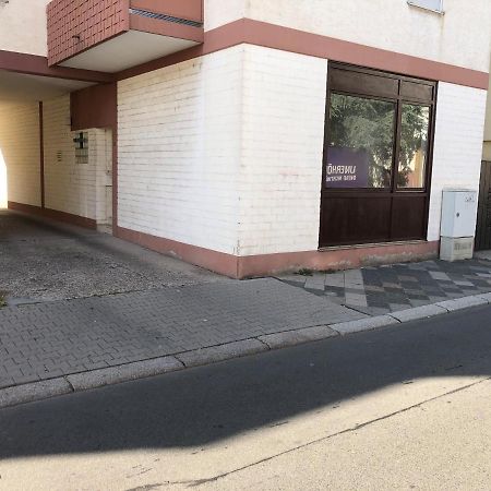 Monteurwohnung Im Zentrum Worms Buitenkant foto